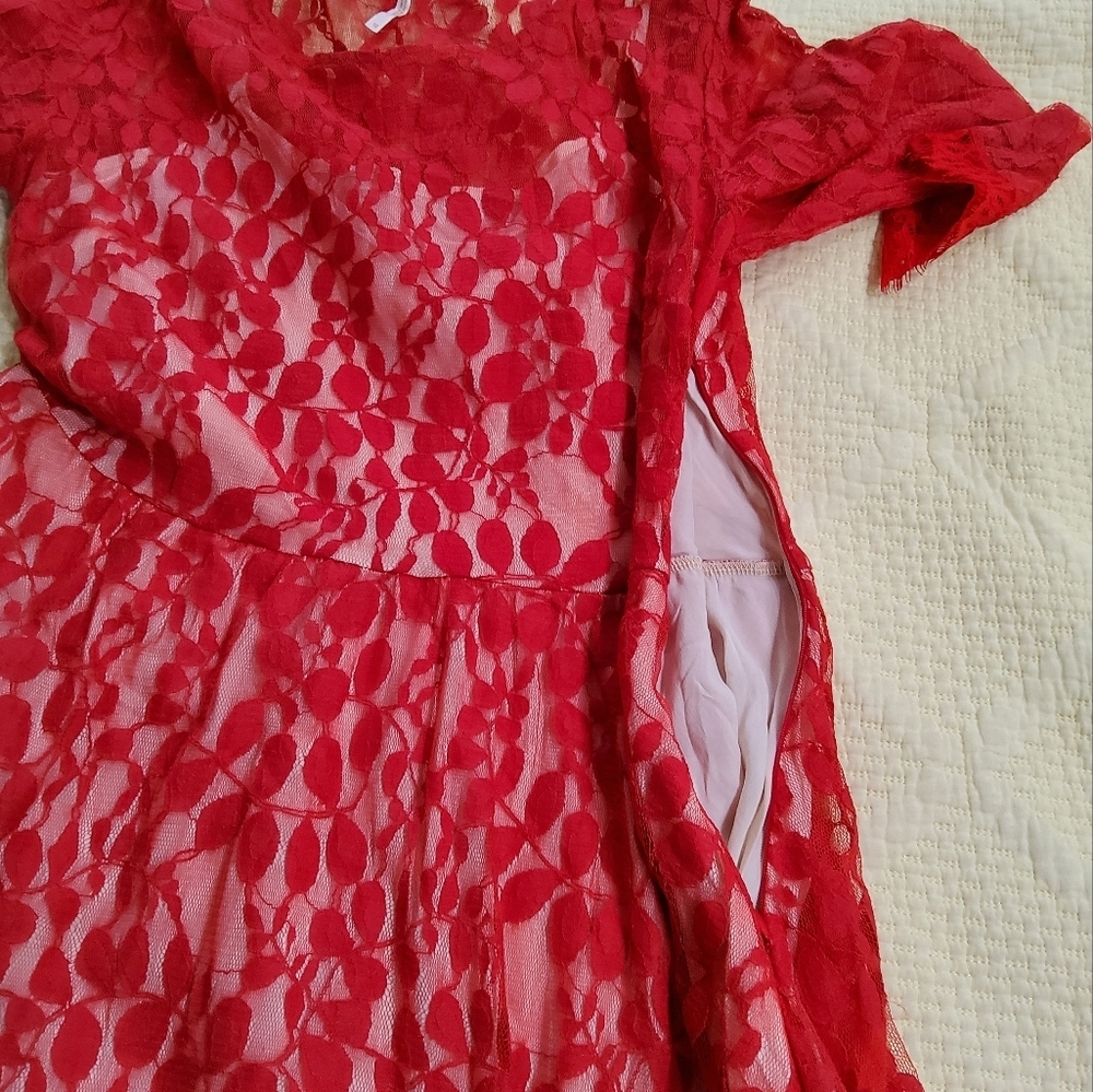 Free People Mesh Lace Fit and Flare Dress Size 12 - Picture 5 of 11